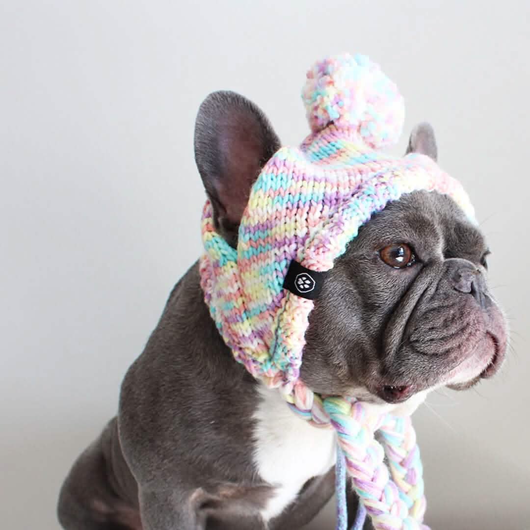 Dog Beanie Hat Knit Pom Pom Pastel Icing Soft Warm Winter Pet Headwear Accessory
