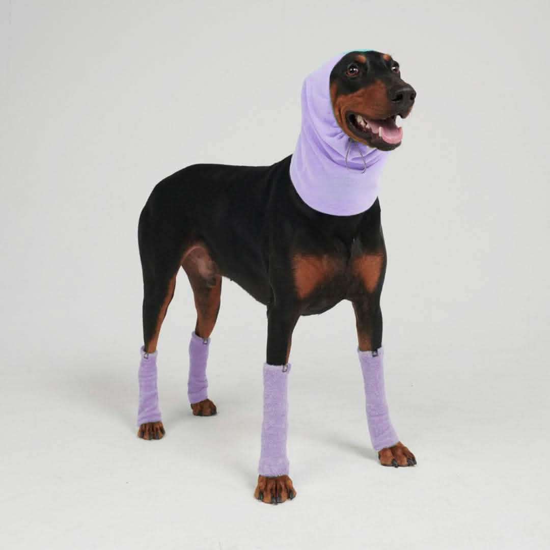 Dog Leg Warmer and Earmuff Set Anxiety Calming Stretchy Fleece Pet Winter Kit