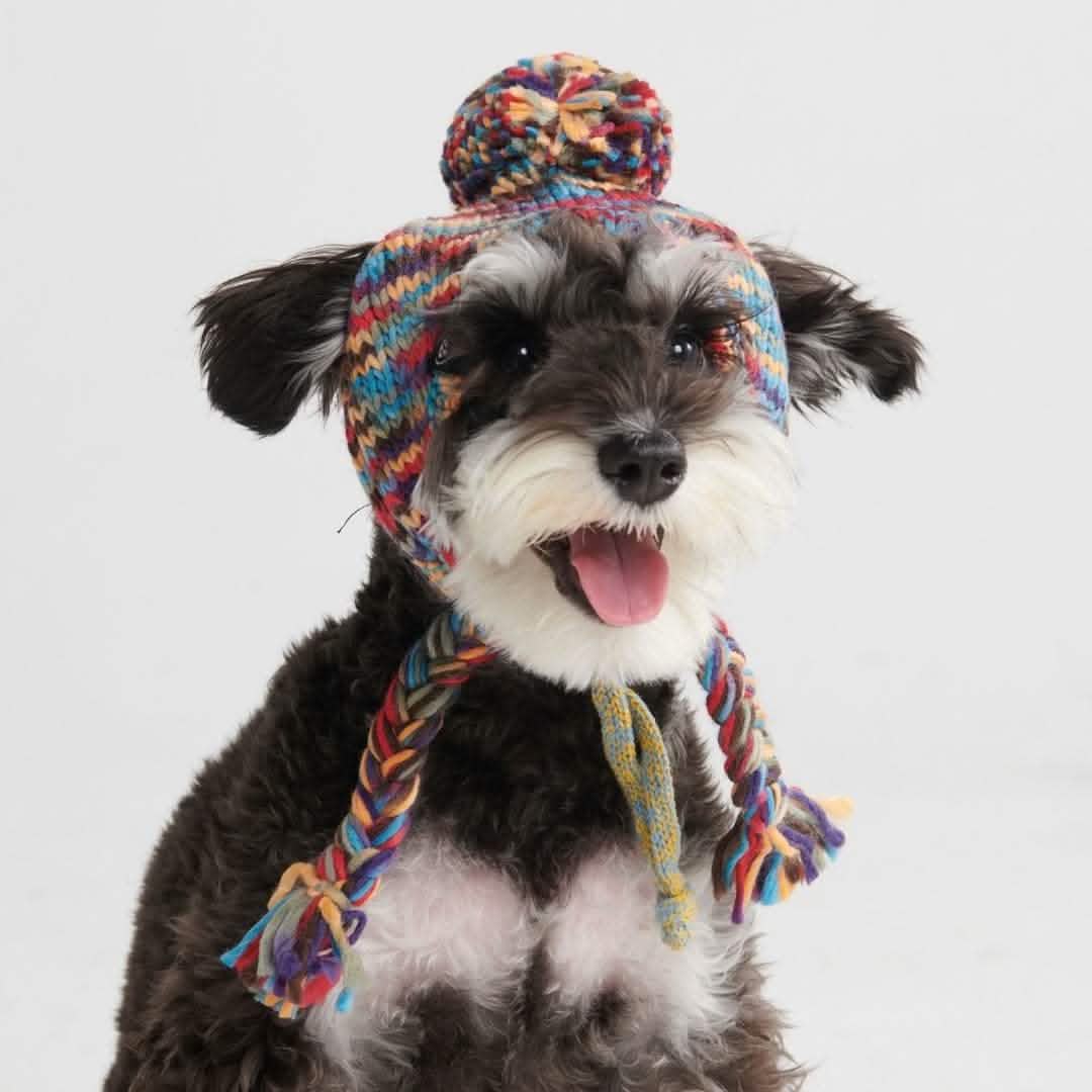 Dog Beanie Hat Kaleidoscope Soft Warm Winter Pet Headwear Accessory